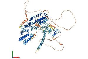 AlphaFold protein structure predicition of Human Recombinant RASGRP1 Protein, UniprotID O95267