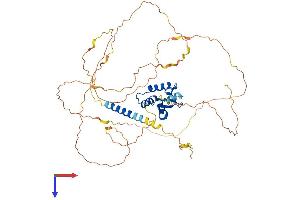 AlphaFold protein structure predicition of Human Recombinant ETV5 Protein, UniprotID P41161