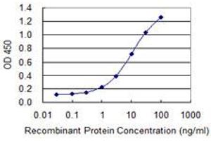 Detection limit for recombinant GST tagged EML4 is 0. (EML4 anticorps  (AA 1-62))