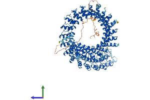 AlphaFold protein structure predicition of Human Recombinant ANKRD28 Protein, UniprotID O15084