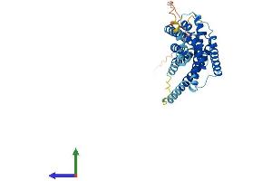 AlphaFold protein structure predicition of Mouse Recombinant P2ry12 Protein, UniprotID Q9CPV9