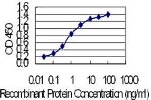 Detection limit for recombinant GST tagged KRT24 is 0.