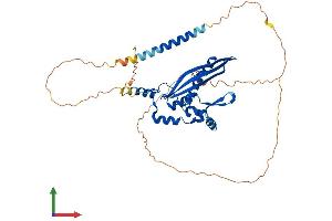 AlphaFold protein structure predicition of Mouse Recombinant Rad52 Protein, UniprotID P43352