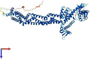 AlphaFold protein structure predicition of Mouse Recombinant Cul4a Protein, UniprotID Q3TCH7