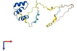 AlphaFold protein structure predicition of Human Recombinant AVPI1 Protein, UniprotID Q5T686