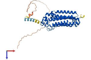 AlphaFold protein structure predicition of Mouse Recombinant Adipor2 Protein, UniprotID Q8BQS5