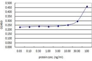 Sandwich ELISA detection sensitivity ranging from 3 ng/ml to 100 ng/ml. (ACTN4 (Humain) Matched Antibody Pair)