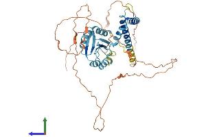 AlphaFold protein structure predicition of Human Recombinant SOHLH2 Protein, UniprotID Q9NX45