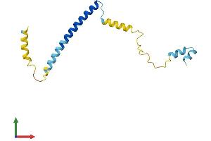AlphaFold protein structure predicition of Mouse Recombinant Cplx1 Protein, UniprotID P63040