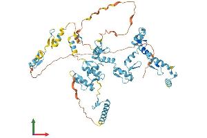 AlphaFold protein structure predicition of Human Recombinant REPIN1 Protein, UniprotID Q9BWE0