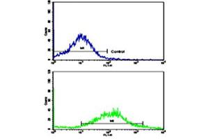 Flow cytometric analysis of NCI-H292 cells using CDH6 polyclonal antibody (bottom histogram) compared to a negative control cell (top histogram). (CDH6 anticorps  (C-Term))