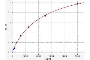 Chemokine (C-C Motif) Ligand 24 (CCL24) ELISA Kit