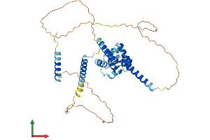 AlphaFold protein structure predicition of Human Recombinant CEP44 Protein, UniprotID Q9C0F1