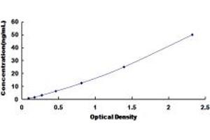 Typical standard curve (CHRNA1 Kit ELISA)
