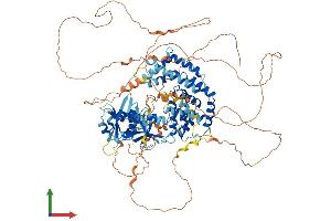 AlphaFold protein structure predicition of Mouse Recombinant Rin3 Protein, UniprotID P59729