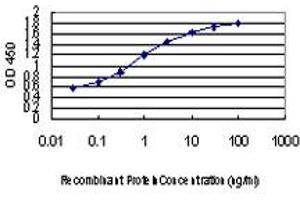 Detection limit for recombinant GST tagged NEDD1 is approximately 0.