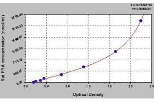 Typical standard curve (RABEP2 Kit ELISA)