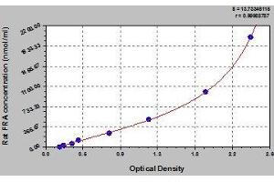 Typical standard curve (RABEP2 Kit ELISA)