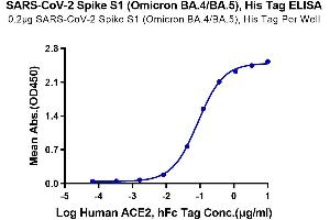 Immobilized SARS-CoV-2 Spike S1 (Omicron BA.