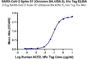 ELISA image for SARS-CoV-2 Spike S1 (BA.4 - Omicron), (BA.5 - Omicron) protein (His tag) (ABIN7273920)