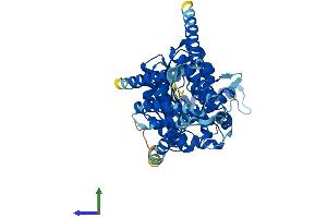 AlphaFold protein structure predicition of Mouse Recombinant Has2 Protein, UniprotID P70312
