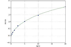 alpha-Fetoprotein L3 ELISA Kit