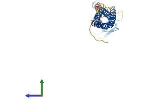 AlphaFold protein structure predicition of Mouse Recombinant Cldn15 Protein, UniprotID Q9Z0S5