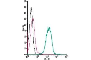 Cell surface detection of EphA4 by indirect flow cytometry in live intact human THP-1 monocytic leukemia cell line: (black line) Cells.