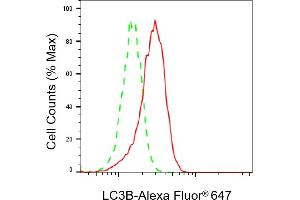 Flow cytometric analysis of LC3B expression in H9c2 cells using LC3B antibody (ABIN7799410), 1:2,000).