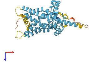 AlphaFold protein structure predicition of Human Recombinant SLC25A22 Protein, UniprotID Q9H936