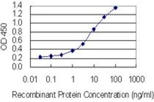 Detection limit for recombinant GST tagged SPANXN3 is 0. (SPANXN3 anticorps  (AA 1-141))