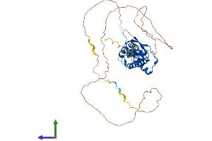 AlphaFold protein structure predicition of Human Recombinant TFAP2E Protein, UniprotID Q6VUC0