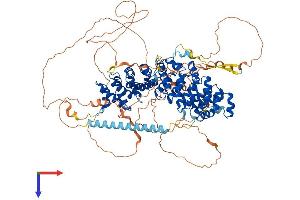 AlphaFold protein structure predicition of Human Recombinant ARVCF Protein, UniprotID O00192
