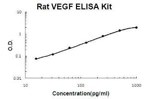 Rat VEGF PicoKine ELISA Kit standard curve (VEGF Kit ELISA)