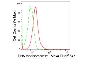 Flow cytometric analysis of DNA topoisomerase I expression in HT- cells using DNA topoisomerase I antibody (ABIN7800571), 1:2,000). (Recombinant Topoisomerase I anticorps)