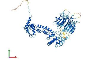 AlphaFold protein structure predicition of Mouse Recombinant Enc1 Protein, UniprotID O35709