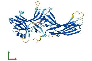AlphaFold protein structure predicition of Mouse Recombinant Arr3 Protein, UniprotID Q9EQP6