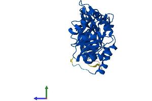 AlphaFold protein structure predicition of Human Recombinant EPM2A Protein, UniprotID O95278