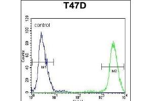 PIGM Antibody (C-term) (ABIN650949 and ABIN2840006) flow cytometric analysis of T47D cells (right histogram) compared to a negative control cell (left histogram). (PIGM anticorps  (C-Term))