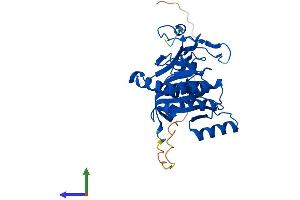 AlphaFold protein structure predicition of Mouse Recombinant B3galt6 Protein, UniprotID Q91Z92