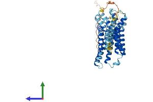 AlphaFold protein structure predicition of Human Recombinant GPR132 Protein, UniprotID Q9UNW8