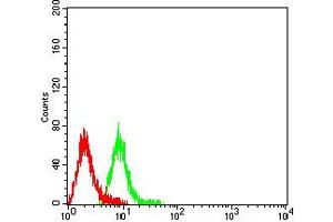 Flow cytometric analysis of Raji cells using CD1B mouse mAb (green) and negative control (red).