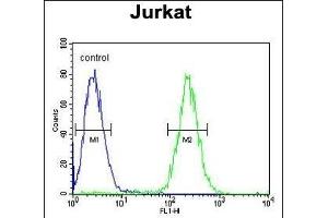 GNAT1 Antibody (C-term) (ABIN653740 and ABIN2843042) flow cytometric analysis of Jurkat cells (right histogram) compared to a negative control cell (left histogram). (GNAT1 anticorps  (C-Term))