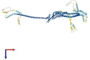 AlphaFold protein structure predicition of Mouse Recombinant Cog3 Protein, UniprotID Q8CI04