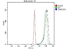 Flow Cytometry analysis of JK cells using anti-LSM8 antibody (ABIN7599578). (NAA38 anticorps  (AA 1-96))