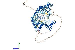 AlphaFold protein structure predicition of Human Recombinant UBTF Protein, UniprotID P17480