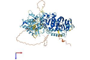 AlphaFold protein structure predicition of Human Recombinant DGKG Protein, UniprotID P49619