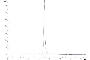 The purity of Human PTK7/CCK4 is greater than 95 % as determined by SEC-HPLC.