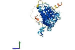AlphaFold protein structure predicition of Human Recombinant ASB6 Protein, UniprotID Q9NWX5