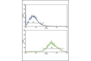 Flow cytometric analysis of Jurkat cells using DDR2 antibody (bottom histogram) compared to a negative control (top histogram).